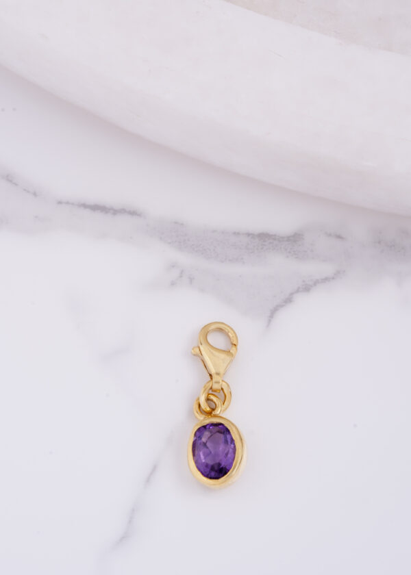 Oval Form Ametist Altın Kaplama 925® Gümüş Charm