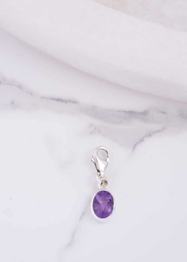 Oval Form Ametist 925® Gümüş Charm